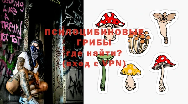 спиды Козельск