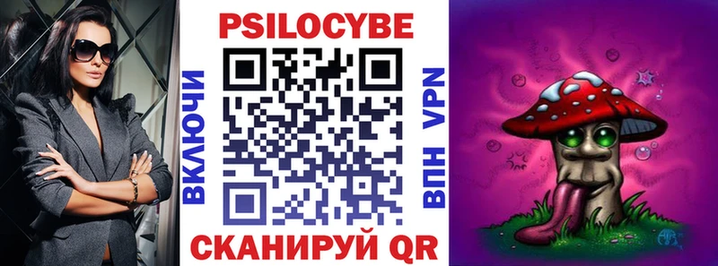 Псилоцибиновые грибы мицелий  где купить наркоту  mega ССЫЛКА  Щучье 