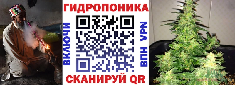 Шишки марихуана гибрид  Щучье 